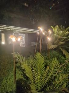 四川成都做工程，灯具采购+安装+维保，找对人很重要！邓师傅深耕金牛灯具行业多年，熟悉各类工程照明需求