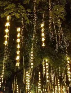 <font color=#E56600>成都找亮化灯具，找邓师傅成都本土照明源头...</font>